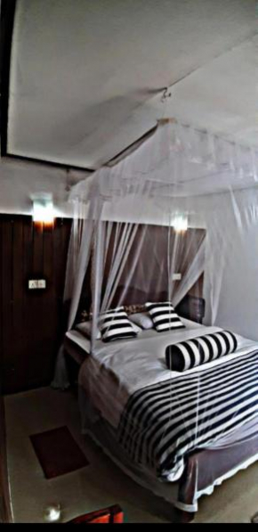 Cozy Home Stay